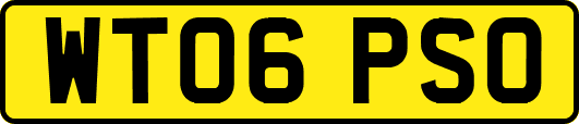 WT06PSO