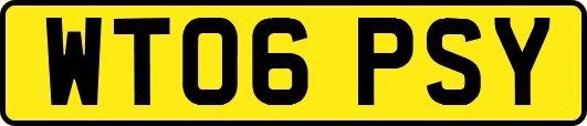 WT06PSY