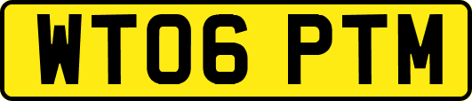 WT06PTM