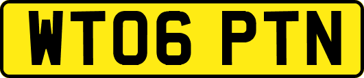 WT06PTN