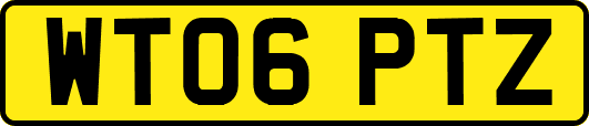 WT06PTZ