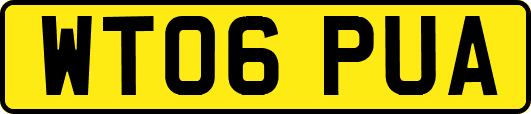 WT06PUA