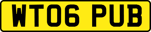WT06PUB