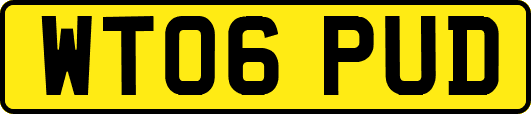 WT06PUD