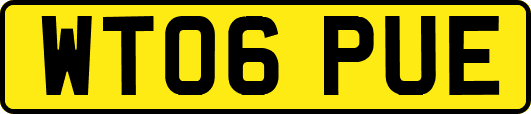 WT06PUE