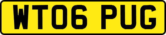 WT06PUG