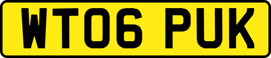 WT06PUK