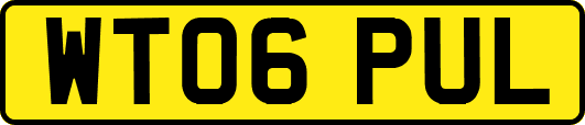 WT06PUL