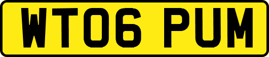 WT06PUM