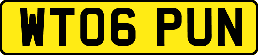 WT06PUN