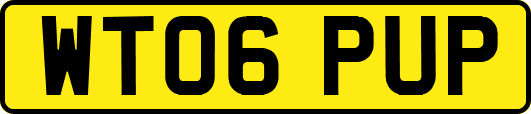 WT06PUP