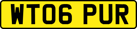 WT06PUR