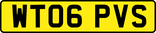 WT06PVS