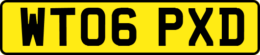 WT06PXD