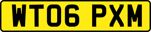 WT06PXM