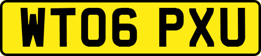 WT06PXU