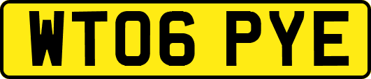 WT06PYE