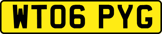 WT06PYG
