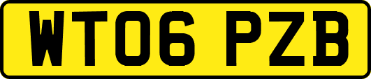 WT06PZB