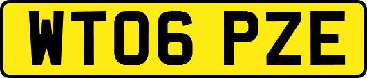 WT06PZE