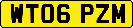 WT06PZM