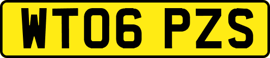 WT06PZS