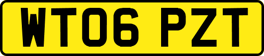 WT06PZT