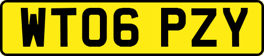 WT06PZY