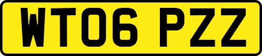 WT06PZZ