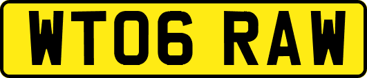 WT06RAW
