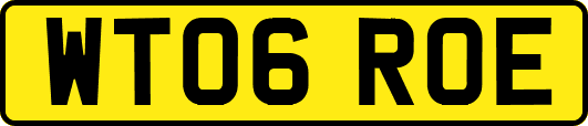 WT06ROE