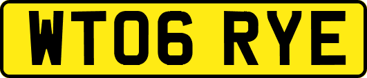 WT06RYE