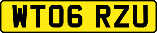 WT06RZU