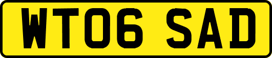 WT06SAD