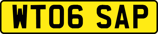 WT06SAP
