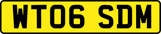 WT06SDM