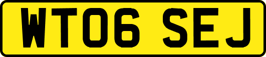 WT06SEJ