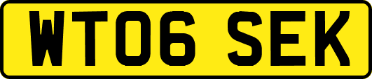 WT06SEK