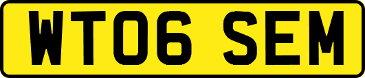 WT06SEM