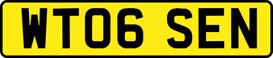 WT06SEN