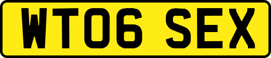 WT06SEX