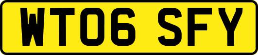 WT06SFY
