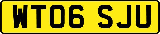 WT06SJU