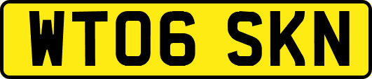 WT06SKN