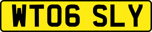 WT06SLY