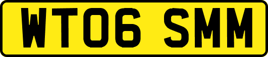 WT06SMM