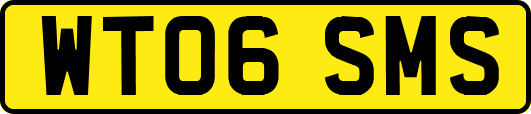 WT06SMS