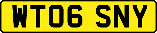 WT06SNY