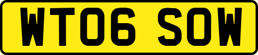 WT06SOW