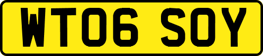 WT06SOY